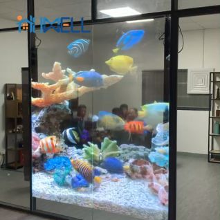 film crystal led screen